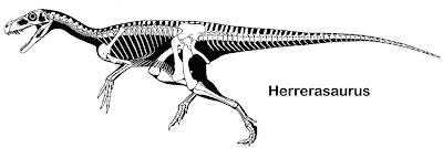 Herrerasaurus