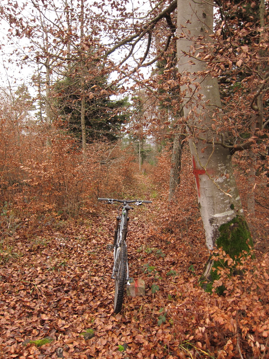 Vida Nullvier Marz 2017