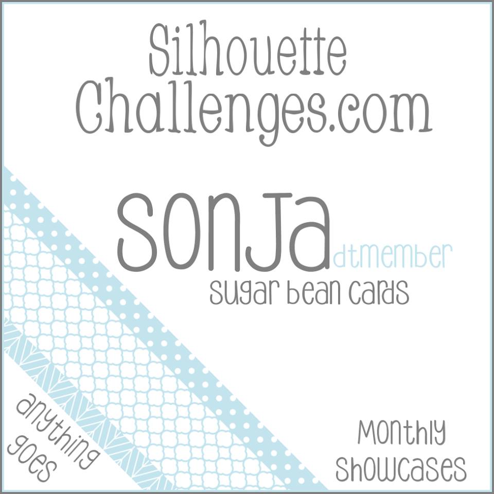 Silhouette Challenges