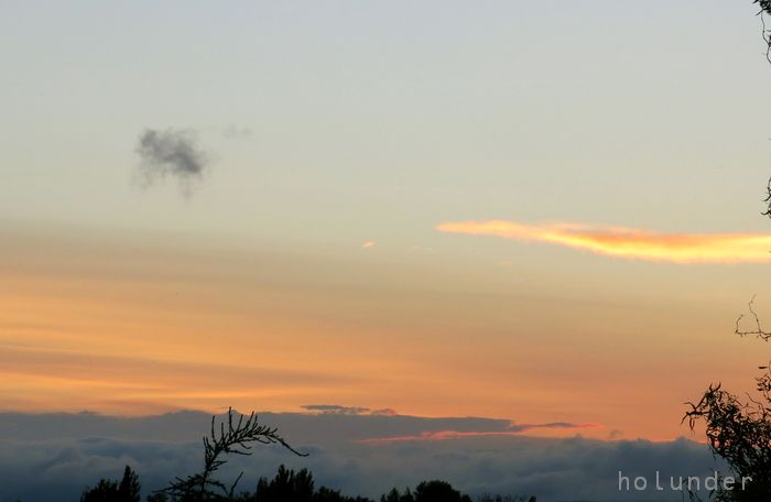 Schwarzwaldmaidli Children S Book Der Bodensee Wimmelt Von Tina