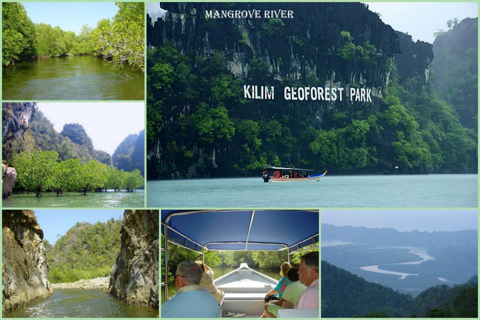 Mangrove Private Tours Langkawi Smart Tours Best Price Guarantee