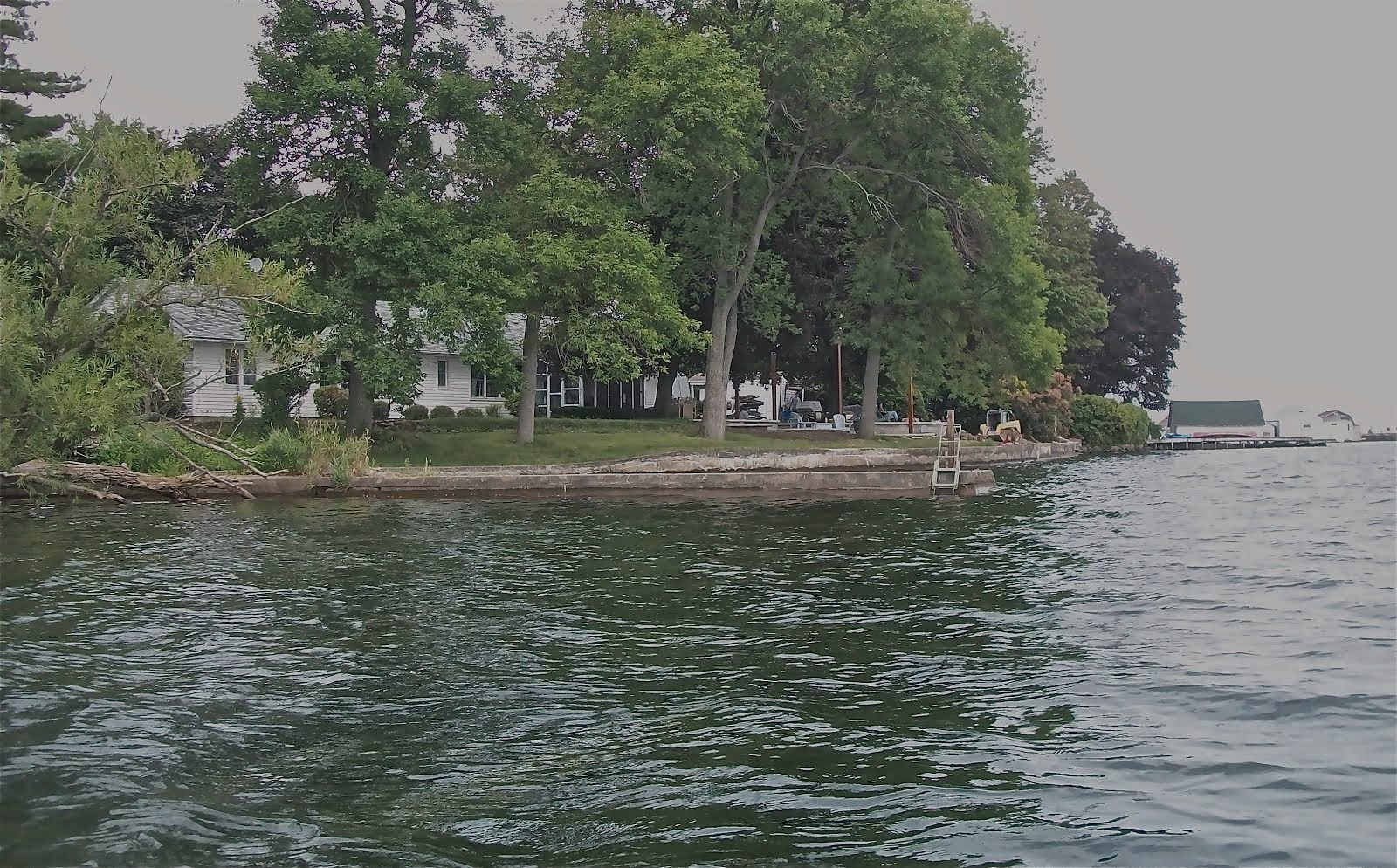 working photo for cottage portrait