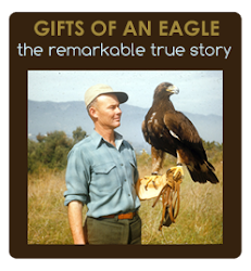 Gifts of an Eagle