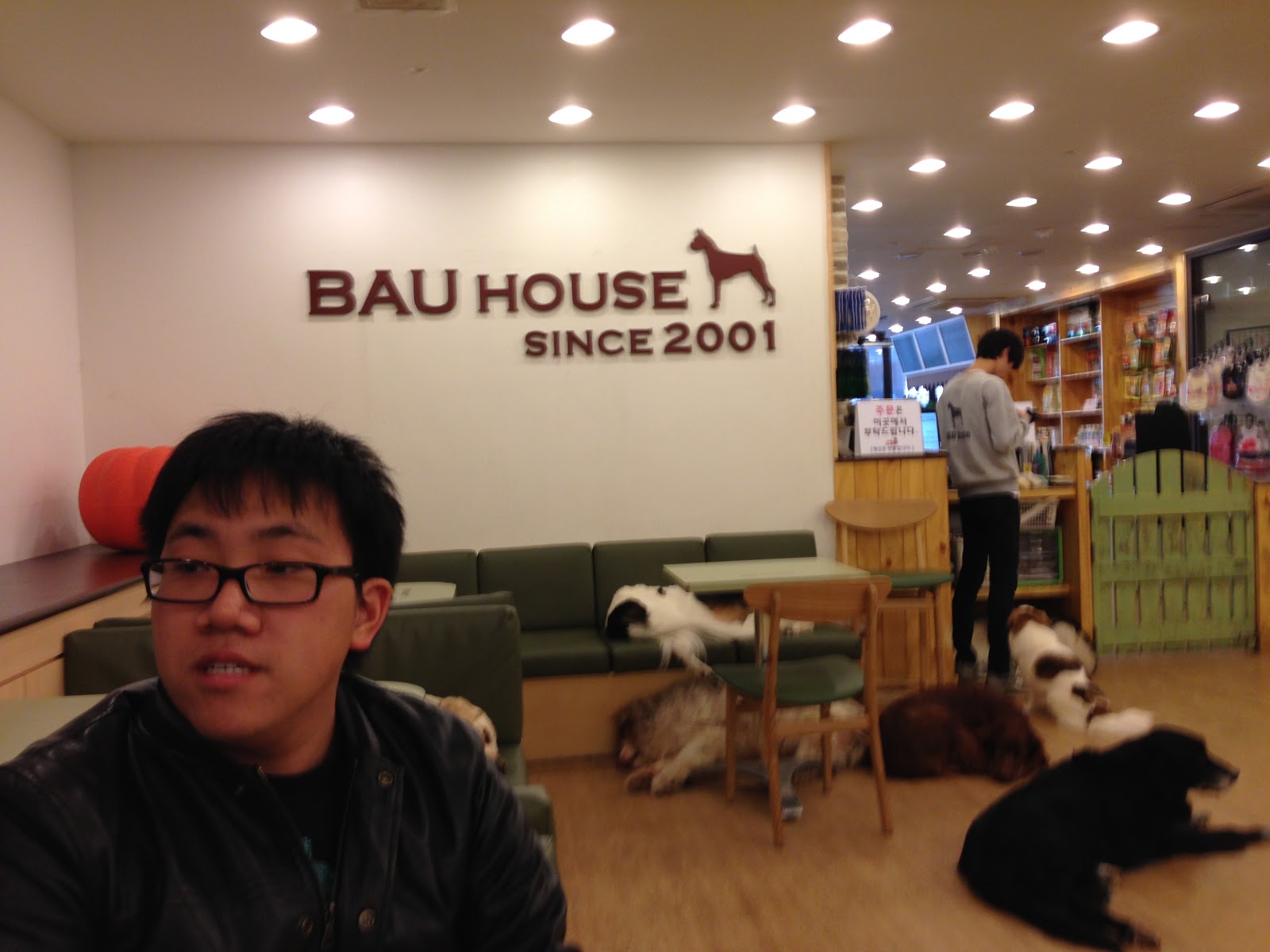 Heart and Seoul Bau House Dog Cafe in Hapjeong
