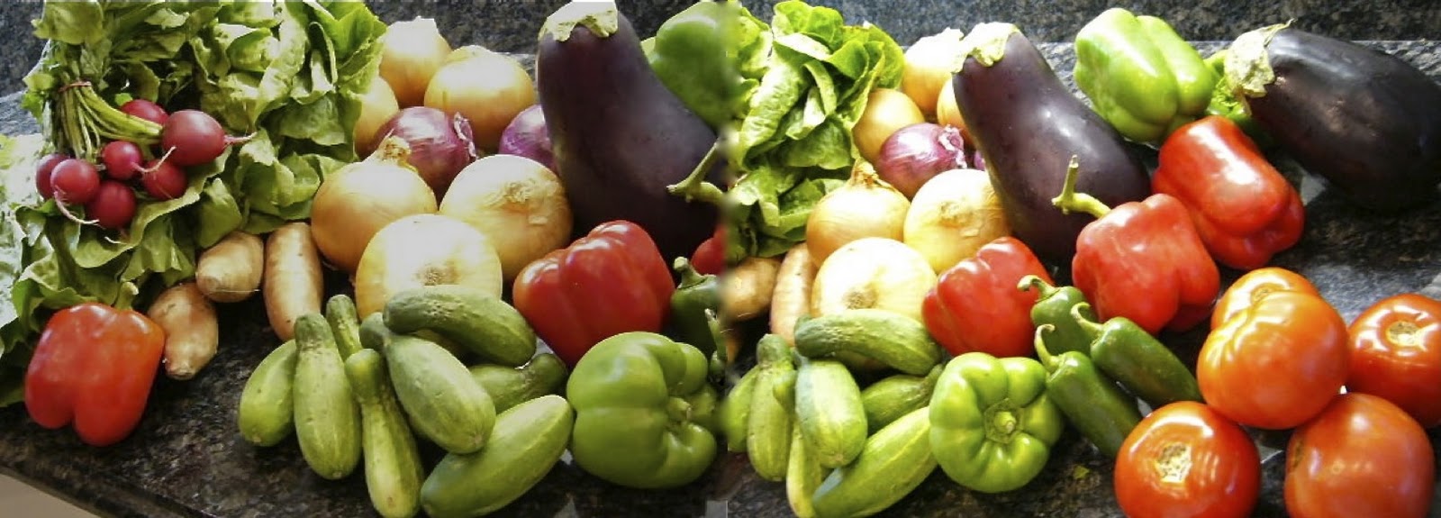 Beasley Farm of Brooksville September 2011