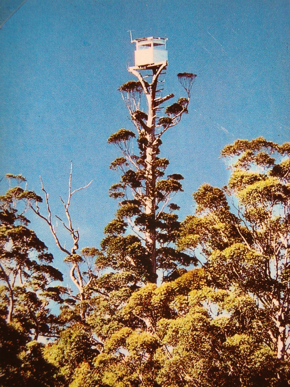 On the Lookout Fire Lookout Towers of Western Australia
