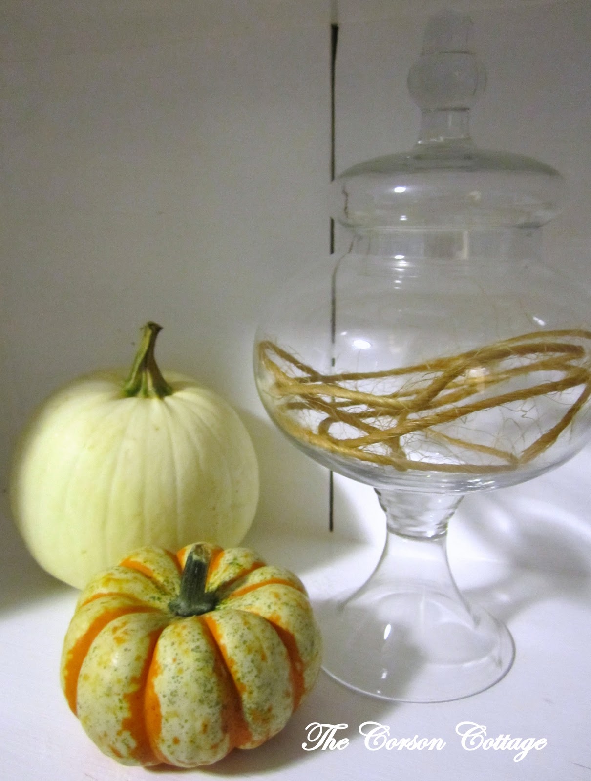 the corson cottage Fall Vase Fillers