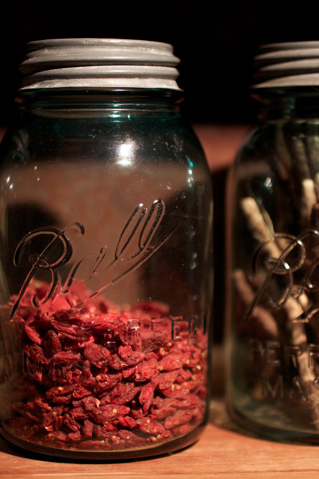 the winnebago diaries { Candy flavored Medicine }