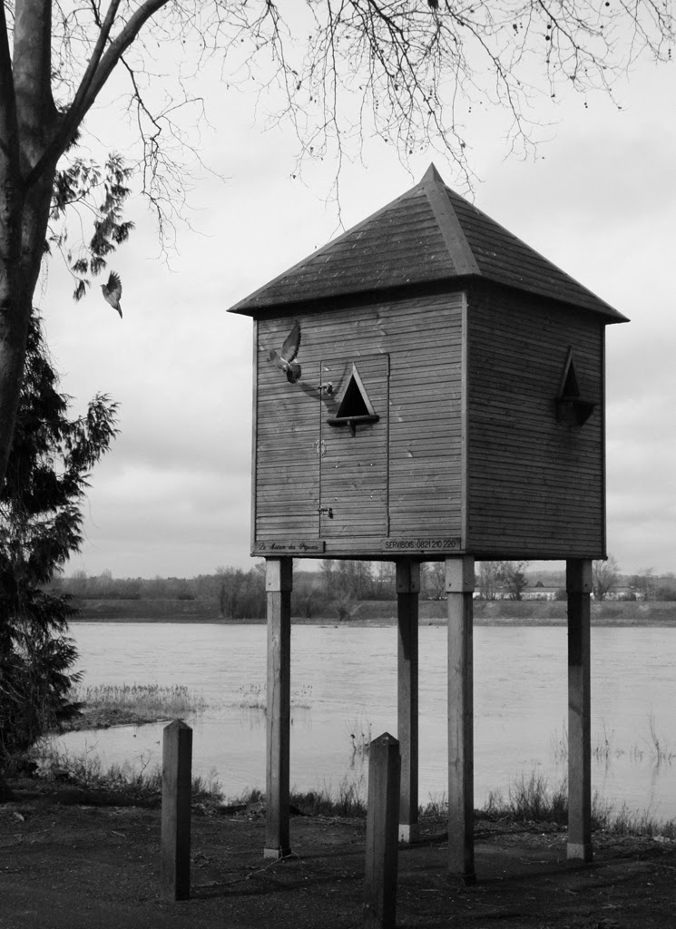 Amboise Daily Photo the pigeon house le pigeonnier