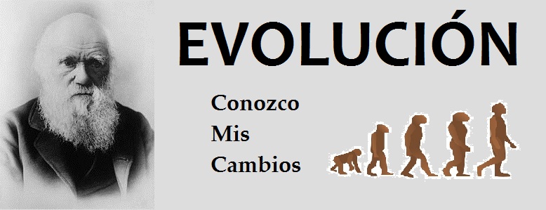 Evolución