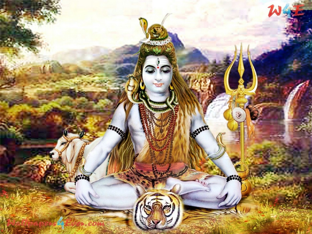 DIOSA SHIVA INDIA diosa shiva india: