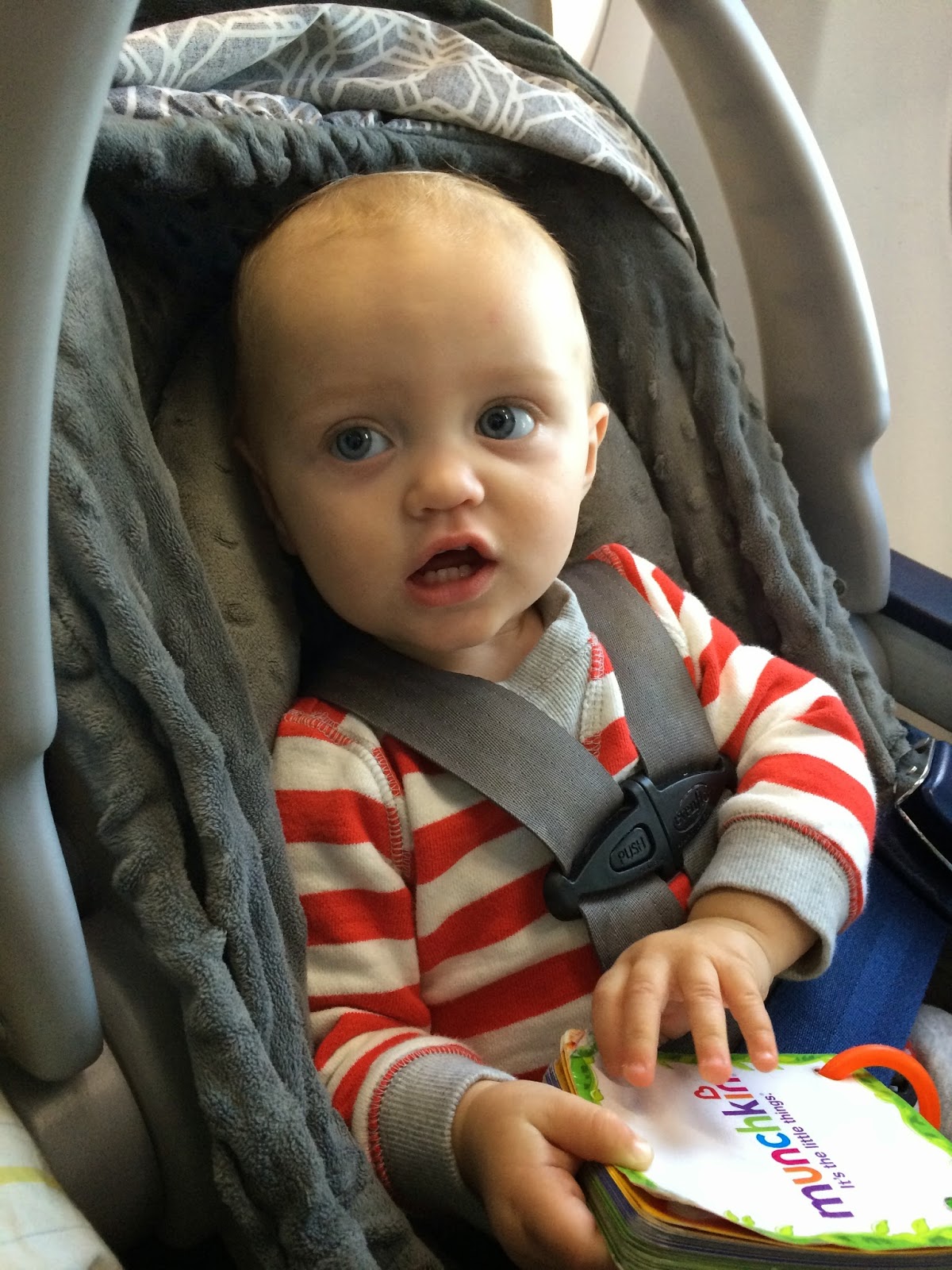 the little gunnell family Flying With A OneYear Old What You Ought