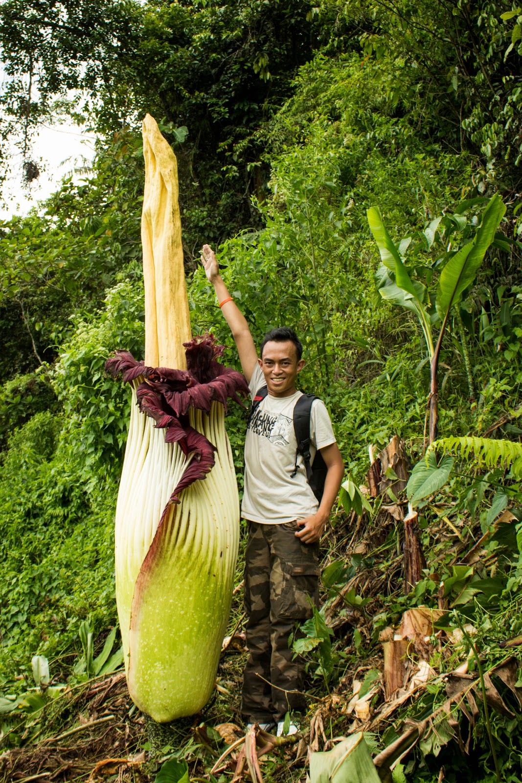 Blok888 Top 10 Weirdest Flowers in the world