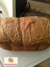 pan espelta y trigo integrales eco