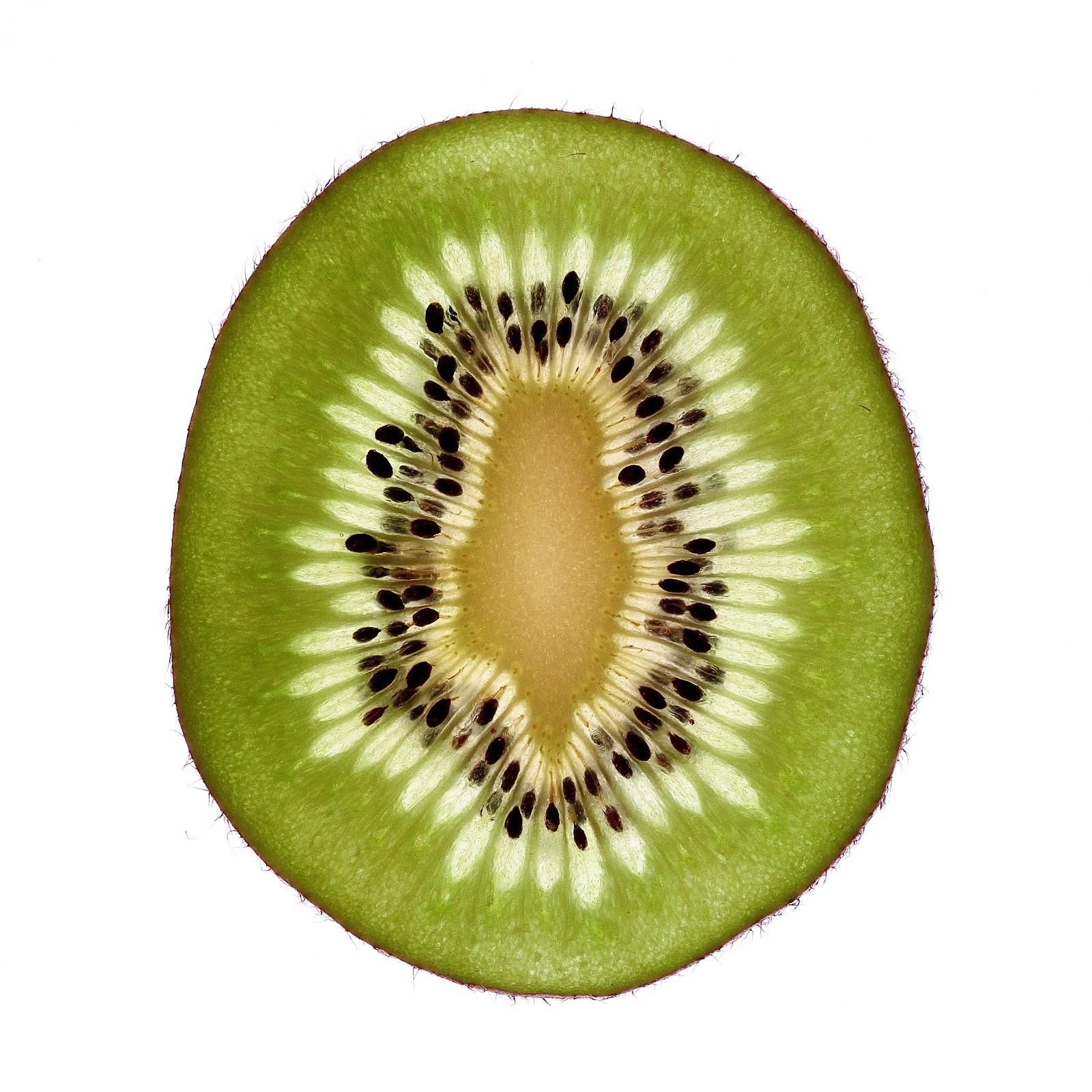 February 12. . .Live Life Like Kiwi Fruit