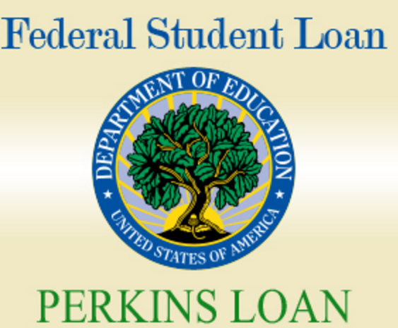 Fedeal Direct Loan Program