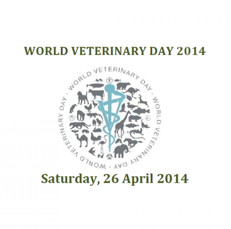 A Wandering Vet World Veterinary Day!!!!!