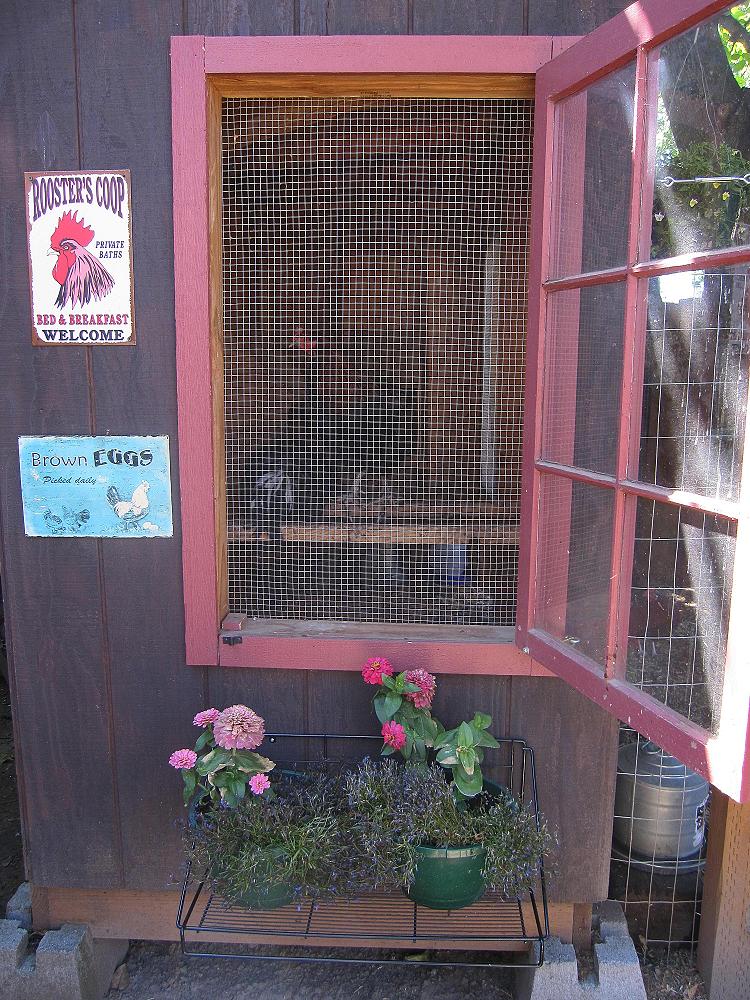 Art Garden Diva From Chicken Coops to Opera