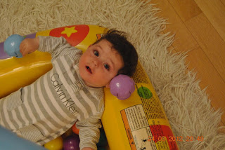 Bizim eve yaz geldi…