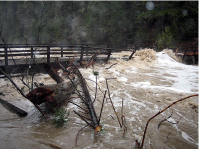 how does a bridge affect the environment