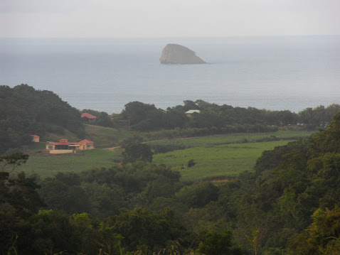 La campagne aux alentours de la maison