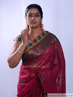 Jayavani Latest Saree Photos 3 pic 13