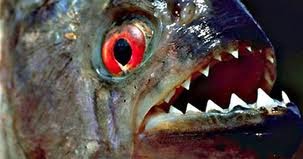 பயங்கரமான ஆட்கொல்லி மீன்