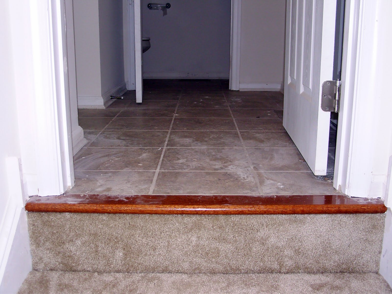 10 Perfect Images Carpet Threshold Lentine Marine