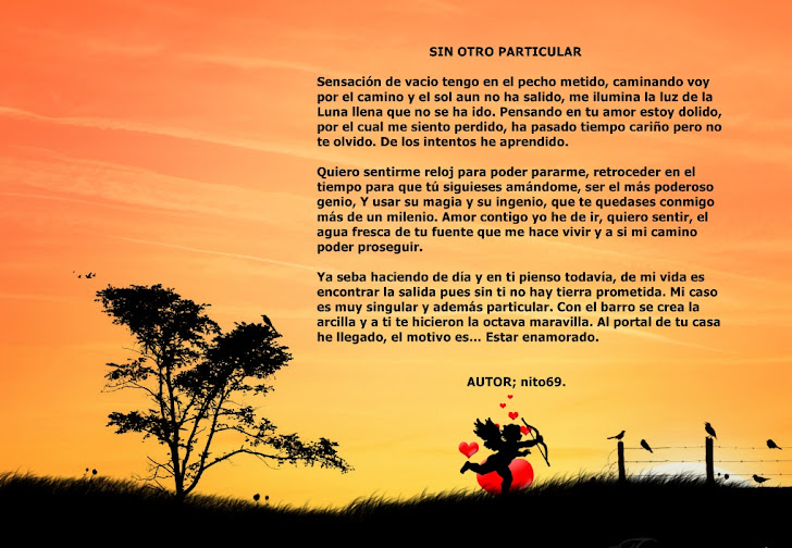 SIN OTRO PARTICULAR  ( Imagen )