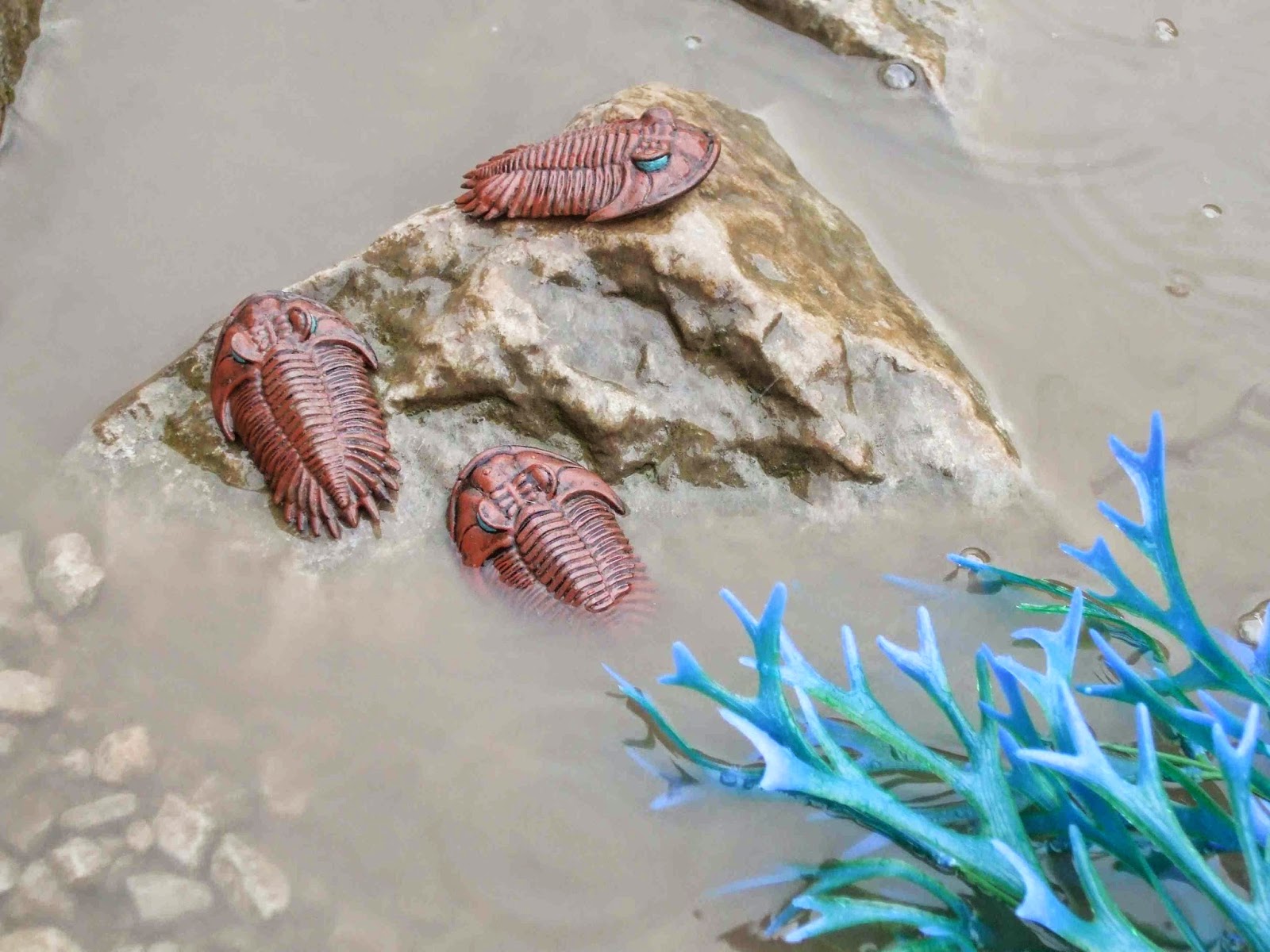 Ancient Landscapes Draw your own trilobite!