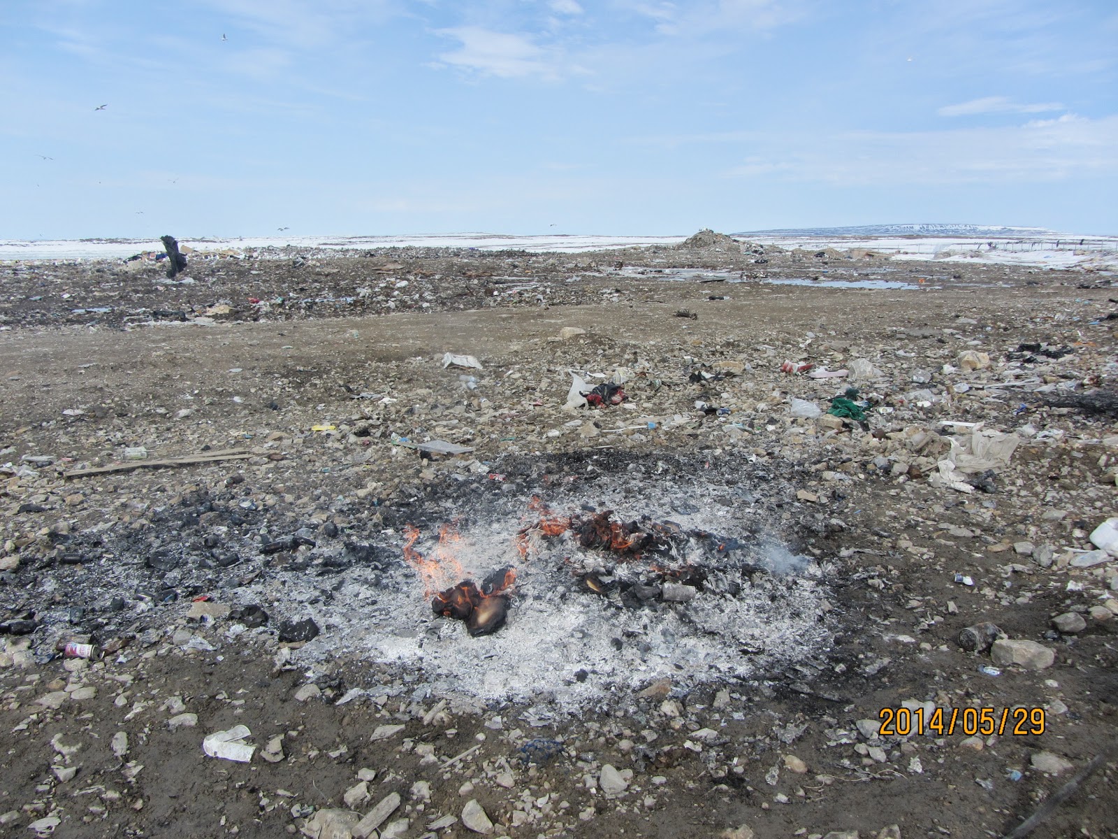 run, gloria, run! Cambridge Bay's dump fires
