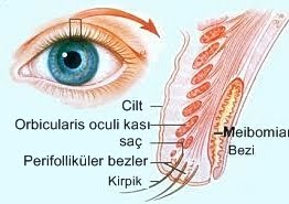 goz kapagi sismesi nedenleri ve tedavi yontemleri blogger