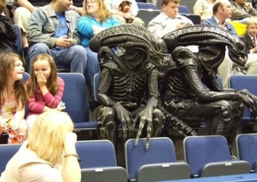 Can Illegal Aliens Get Food Stamps And Welfare In Florida Can Illegal Aliens Get Food Stamps And Welfare In Florida