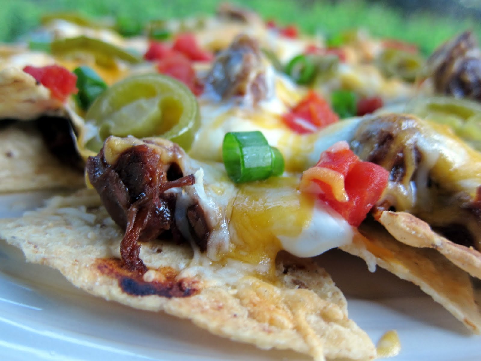 Pot Roast Nachos Plain Chicken