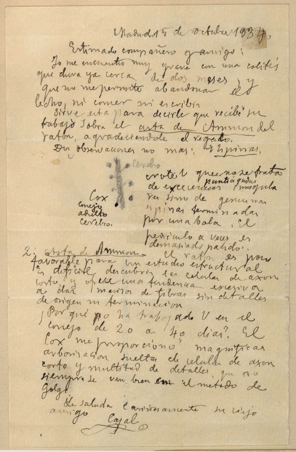 El misterio de las 2000 cartas perdidas de Ramón y Cajal