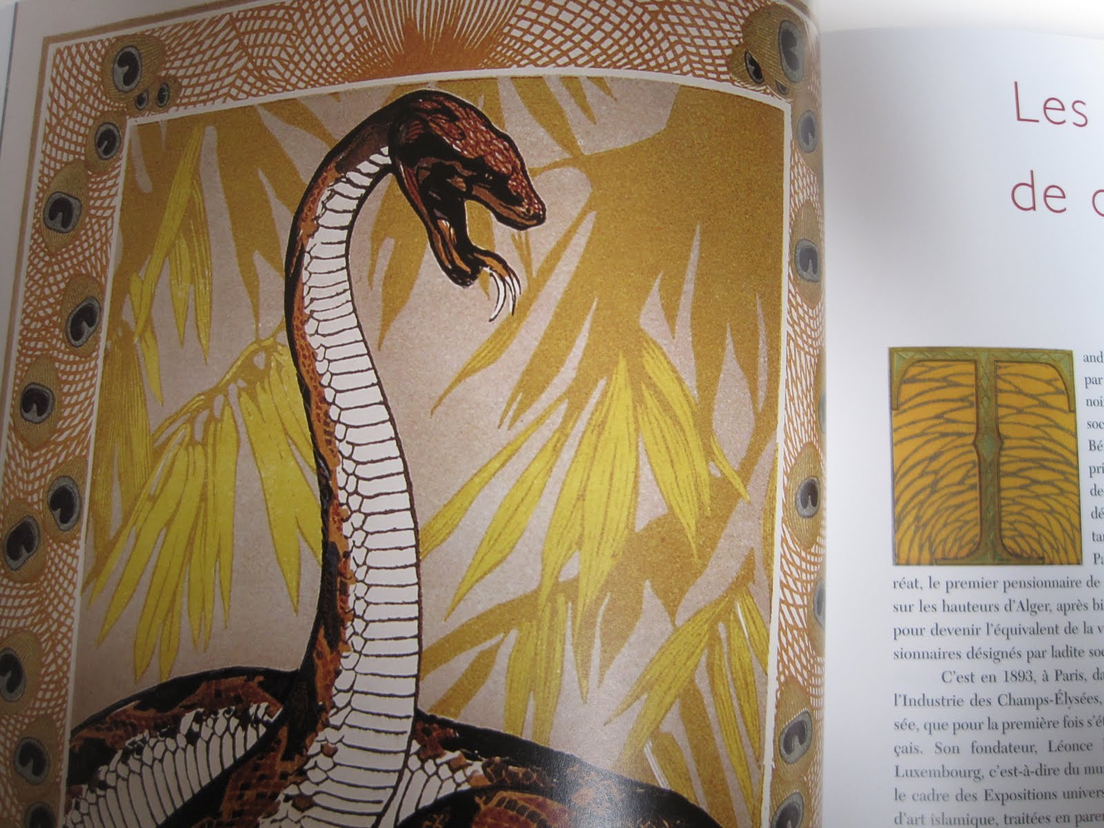 Behind The Scenes At Stuart Ng Books Ctnx Paul Jouve Book