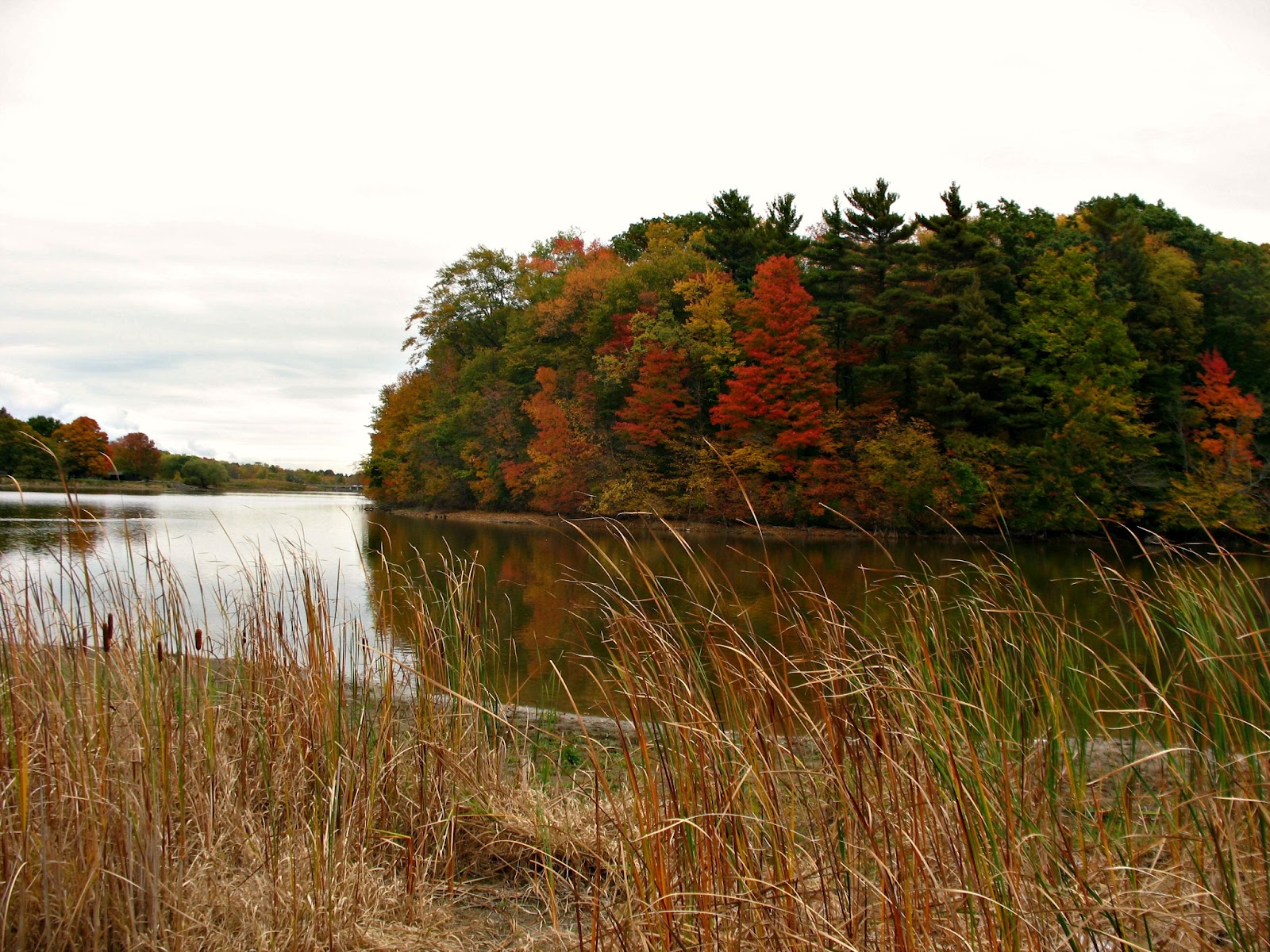 Dundas Valley Outdoors Fall Hike at Christie Lake