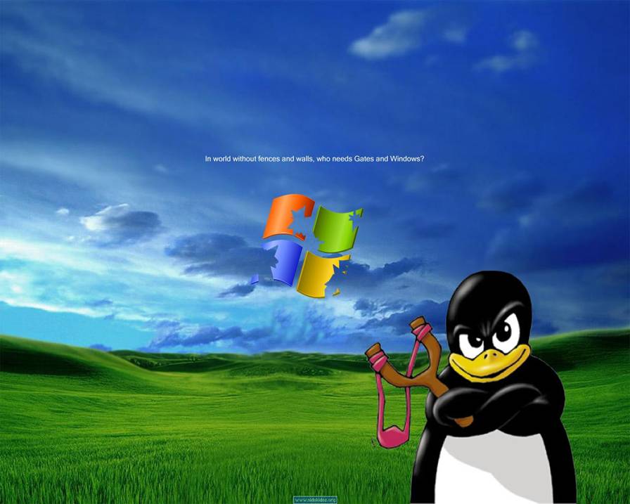 funny wallpaper pics. funny wallpaper. funny wallpaper pics.