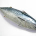 Health Benefits of Fish