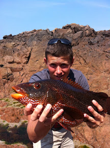 5lb 8oz Lure Caught Wrasse