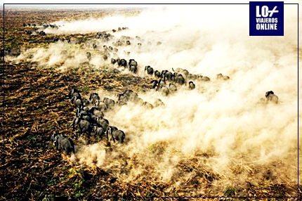 SAFARI TURISTICO EN SUDAN DEL SUR 6 SAFARI TURISTICO EN SUDAN DEL SUR 5