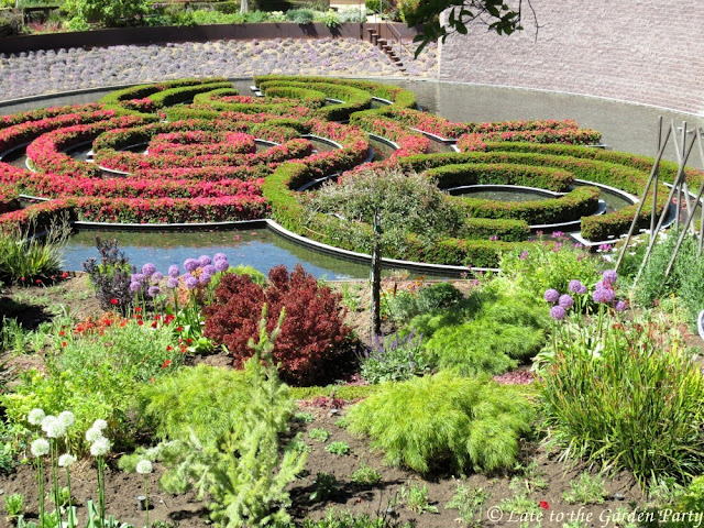 Mug Mike S Urban Garden Sidewalk Hell Strip Planting
