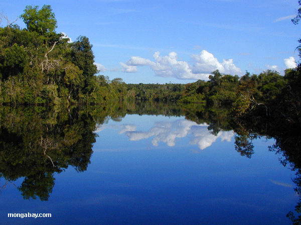 Black water River