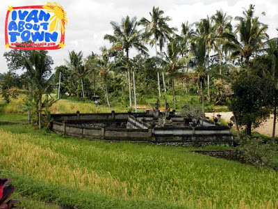 Bali Rice Terraces Indonesia Jatiluwih