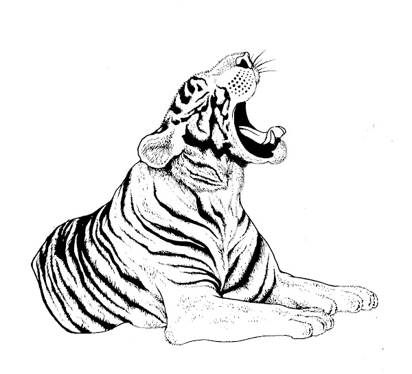Lincoln Park Zoo Coloring Page