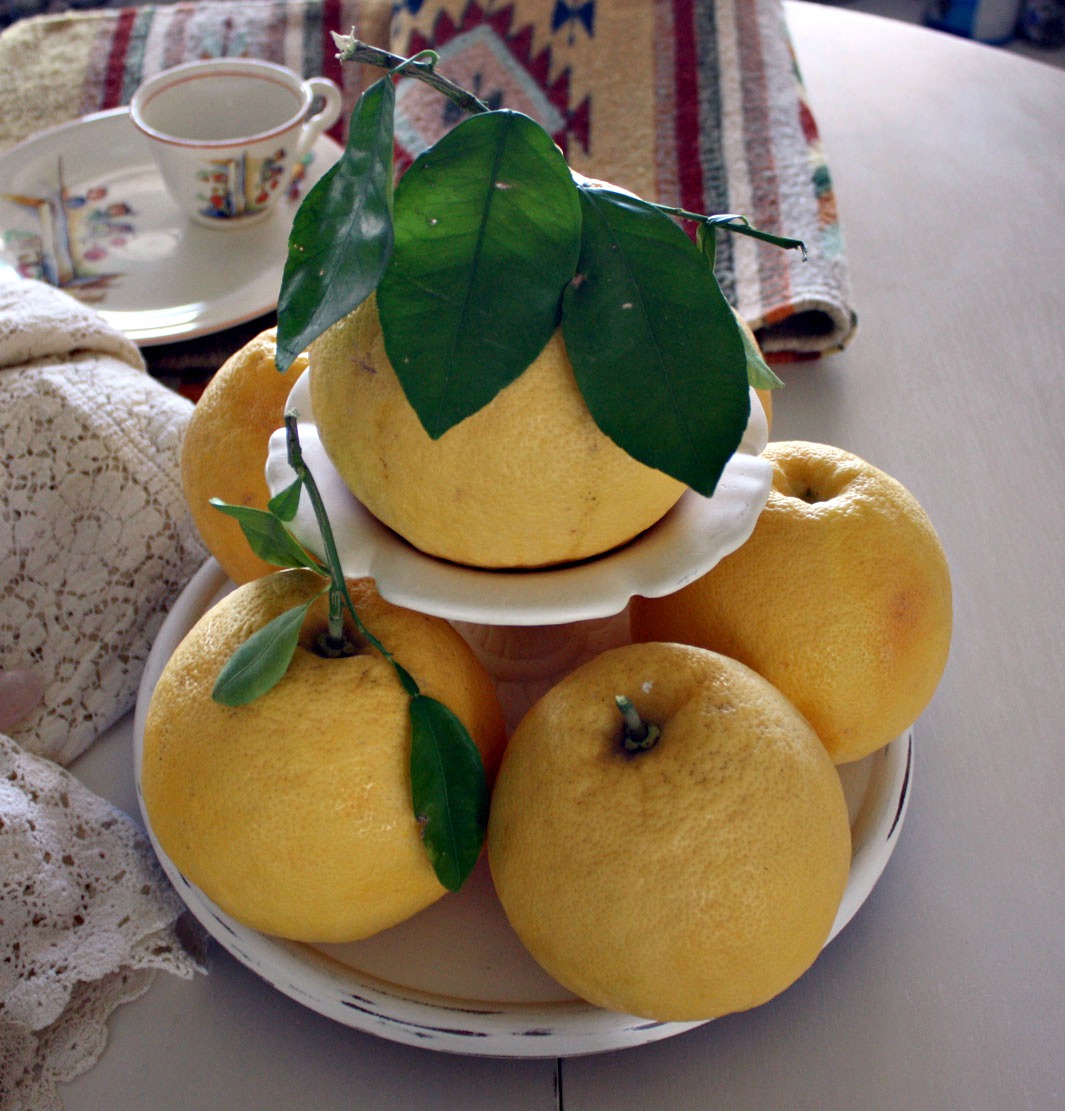 Wild Rose Vintage Fresh Grapefruit...A Work of Art