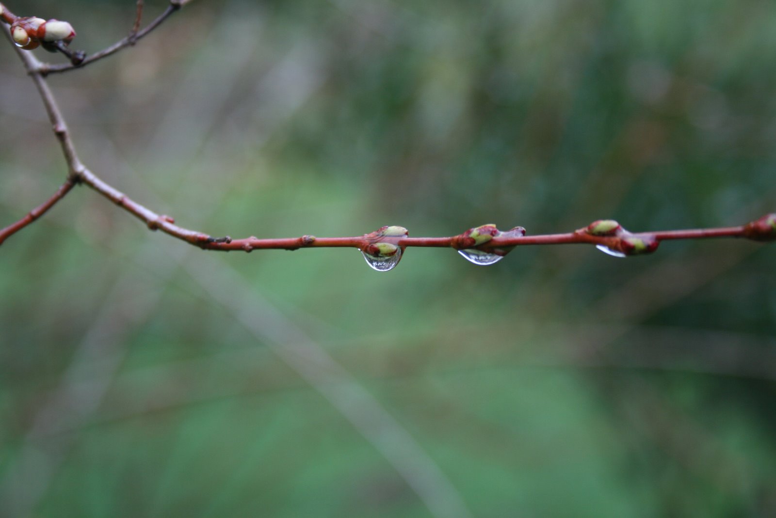 BOSTON WEATHER HOUR BY HOUR. Boston