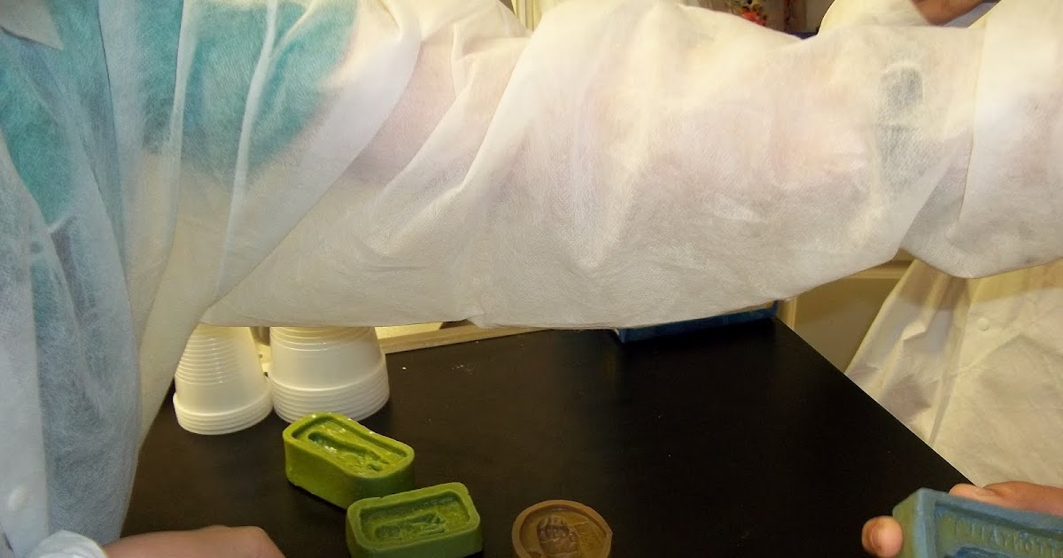 CSIChallenging Scientific Investigations Molds and Casts 5th