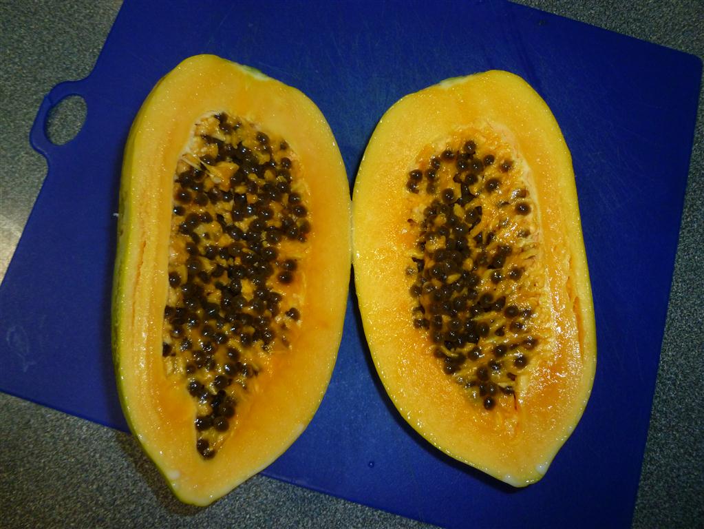 Guam Firehouse Cook Papaya!!!! The Natural Meat Tenderizer.....