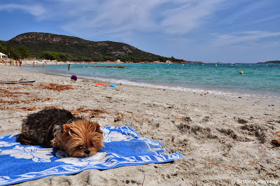 Palombaggia Corse